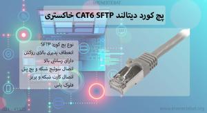 در تصویر پچ کورد دیتالند CAT6 SFTP خاکستری 5 متری را مشاهده مینمایید