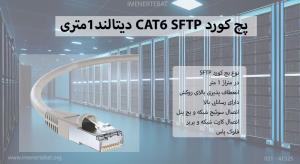 در تصویر پچ کورد دیتالند CAT6 SFTP خاکستری 1 متری را مشاهده مینمایید