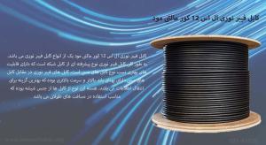 در این تصویر کابل فیبر نوری 12 کور LS مالتی مود را مشاهده می کنید.